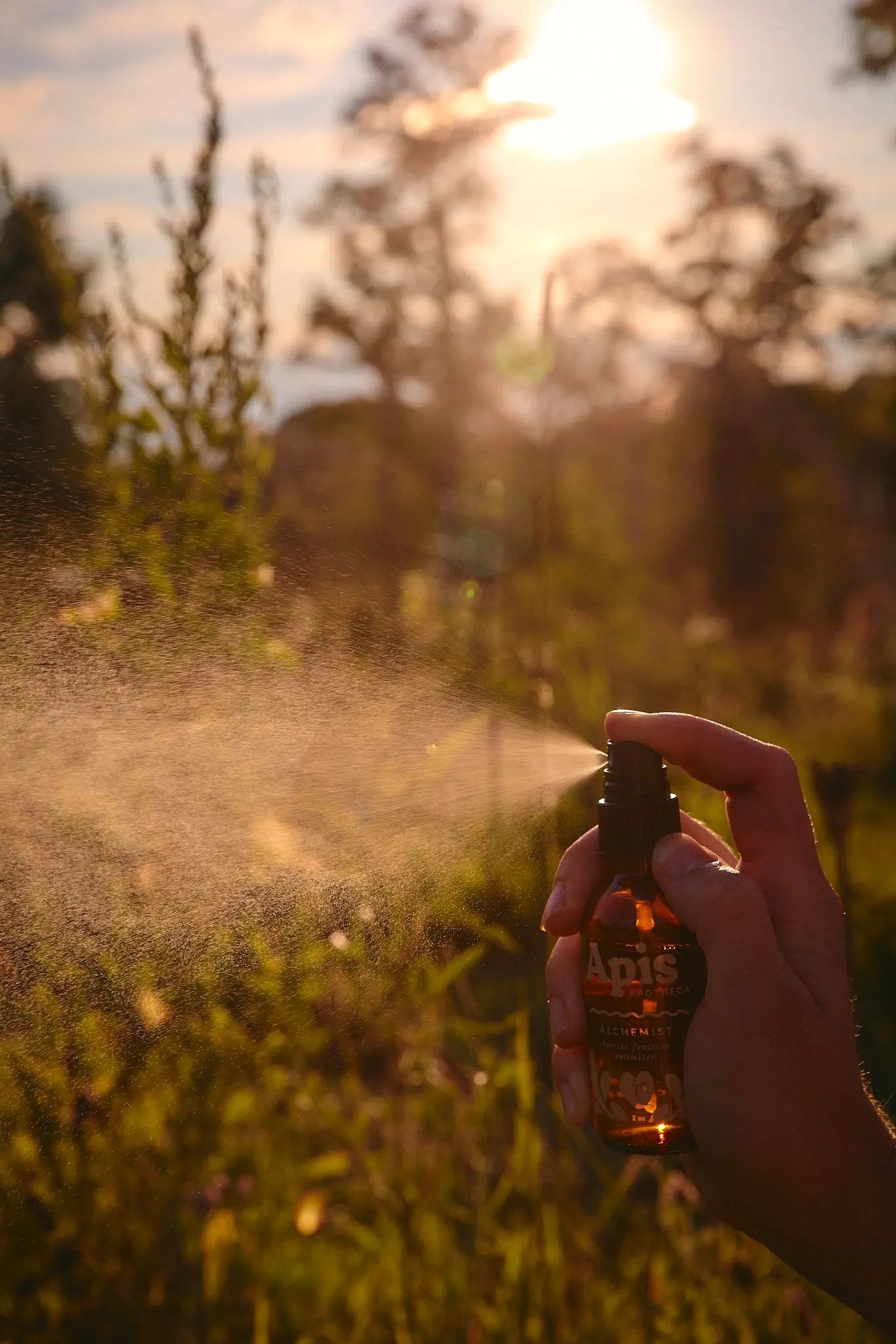 Alchemist ✿ Barrier Function Optimizer Apis Apotheca