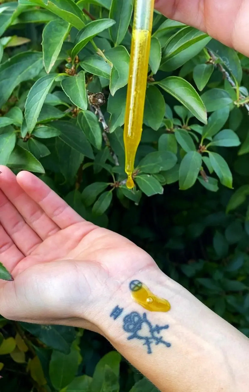 Greensleeves ✿ Verdant Boundary Oil Apis Apotheca