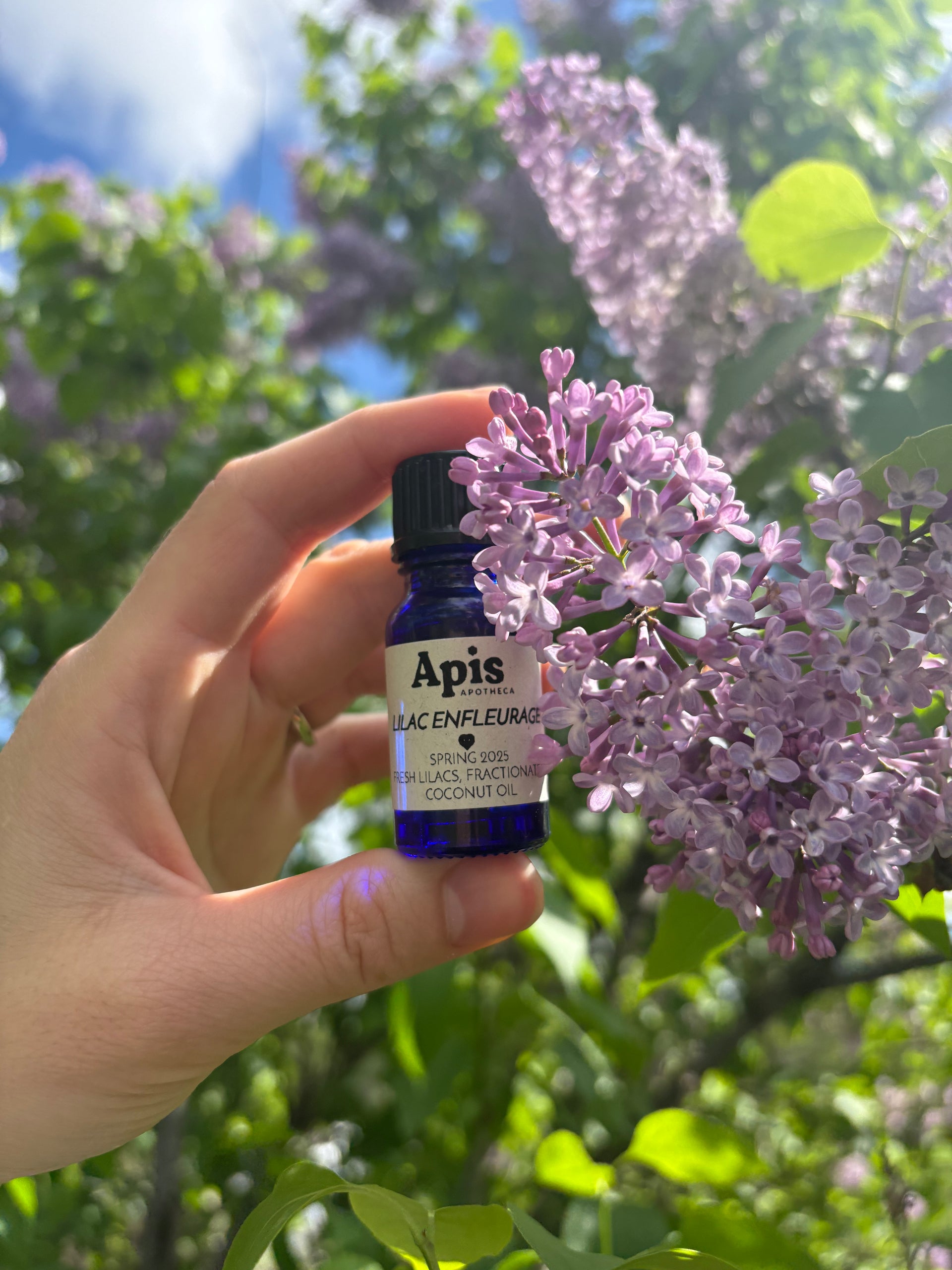 Lilac Enfleurage Apis Apotheca