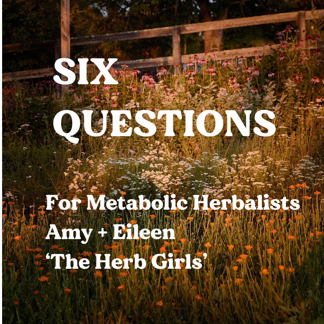 Six Questions for Metabolic Herbalists Amy and Eileen of ‘The Herb Girls’