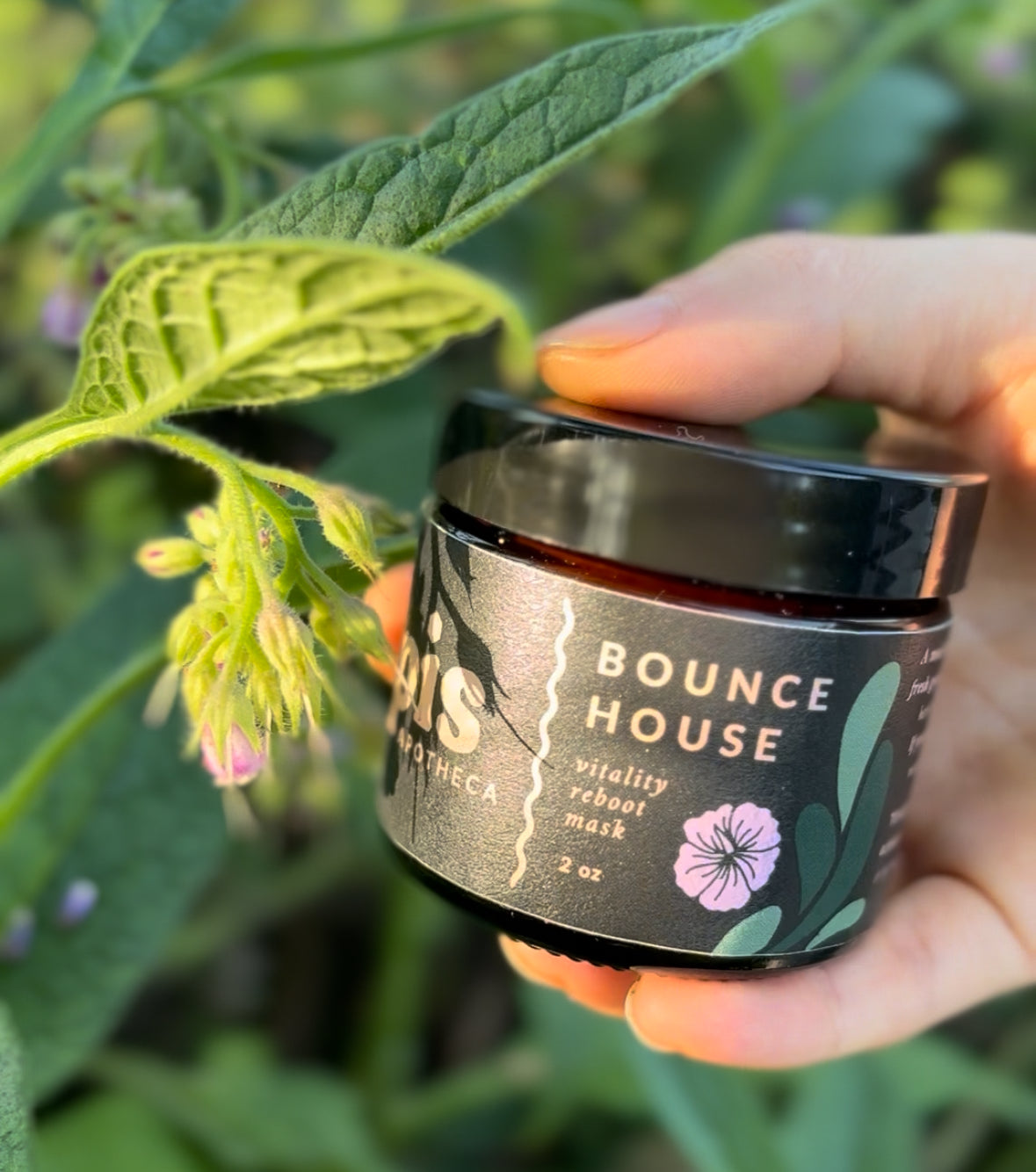 Person holding a jar of Apis Apotheca Bounce House Hydrating Mud-to-Milk Botanical Face Mask for Skin Renewal & Collagen Support. 