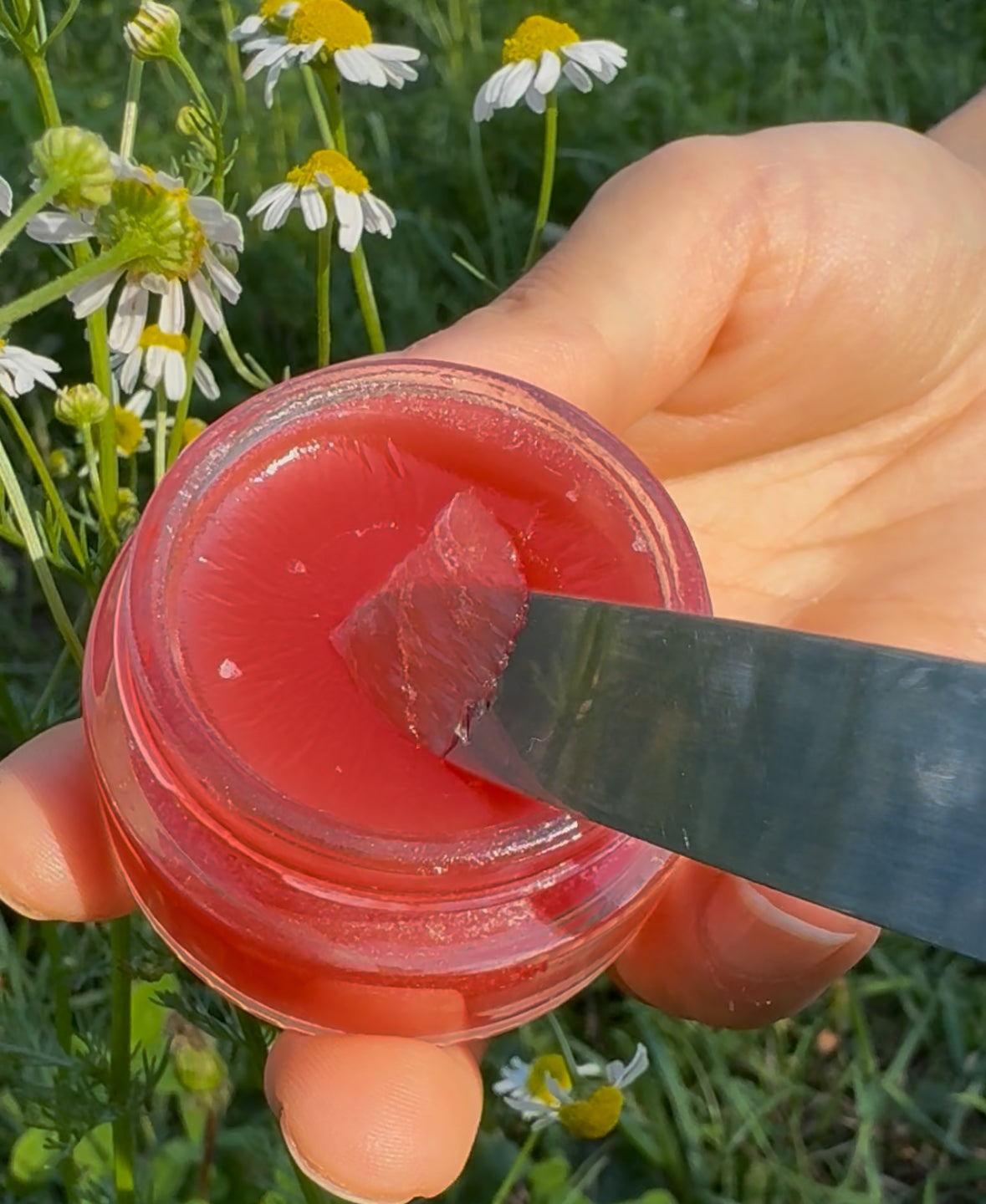 Texture Swatch of Apis Apotheca Cranjelly Vegan Lip & Skin balm with cranberry seed oil & gromwell root. Deeply hydrating, soothing lip, cuticle & skin balm for dry, sensitive skin repair.