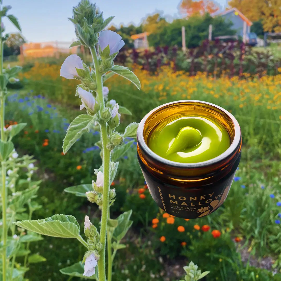 Apis Apotheca Honey Mallow Nectar Whip ✿ for Skin Barrier Repair, Deep Hydration & Calming Sensitive Skin