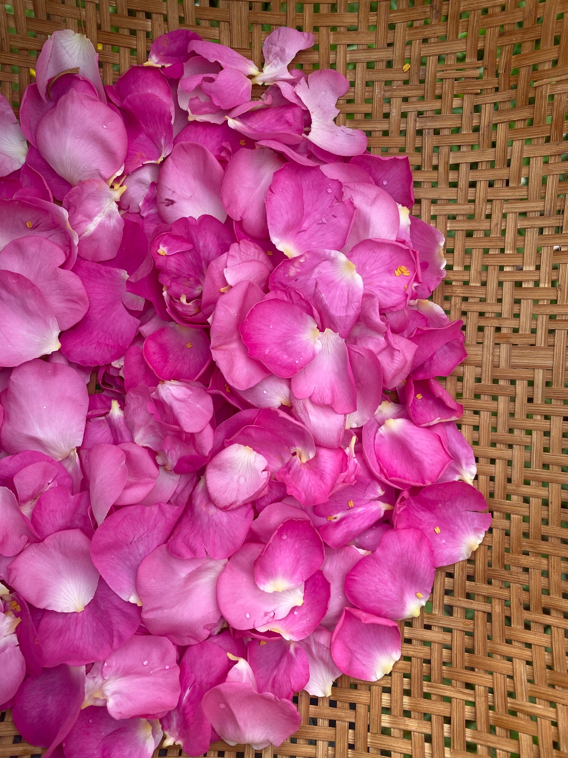 Barrier repair bundle