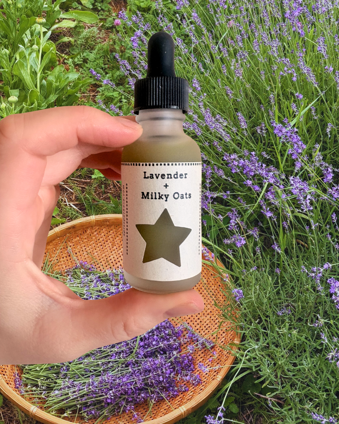 Bottle labeled 'Lavender + Milky Oats' held by a hand with lavender flowers in the background